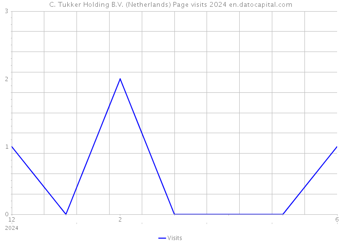 C. Tukker Holding B.V. (Netherlands) Page visits 2024 