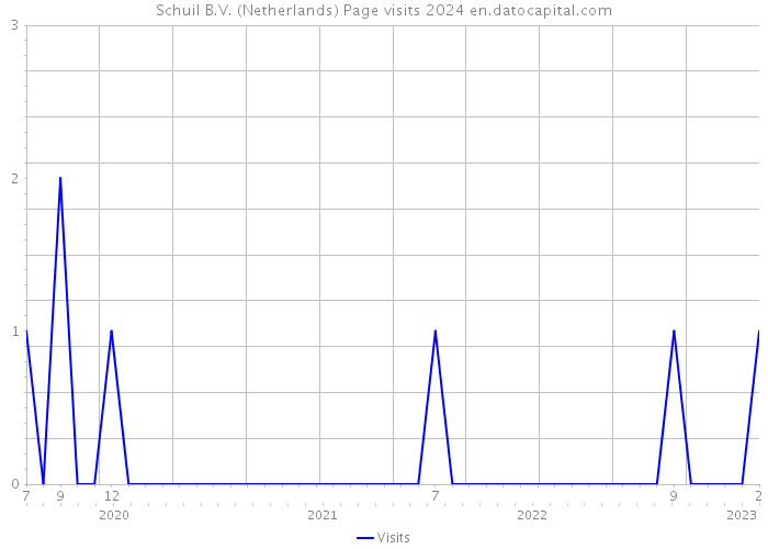Schuil B.V. (Netherlands) Page visits 2024 