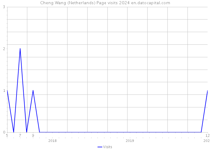 Cheng Wang (Netherlands) Page visits 2024 