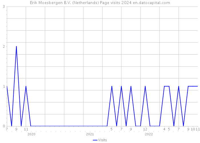 Erik Moesbergen B.V. (Netherlands) Page visits 2024 