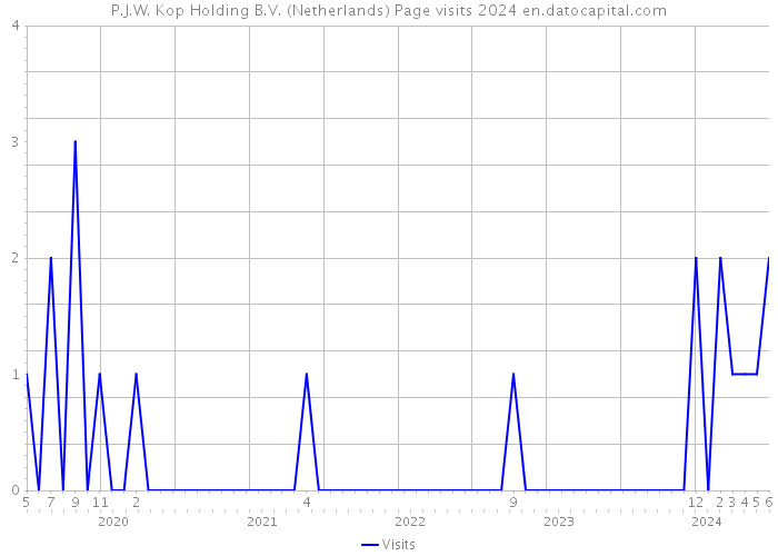 P.J.W. Kop Holding B.V. (Netherlands) Page visits 2024 