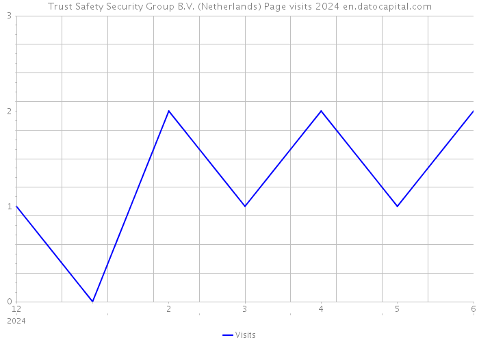 Trust Safety Security Group B.V. (Netherlands) Page visits 2024 