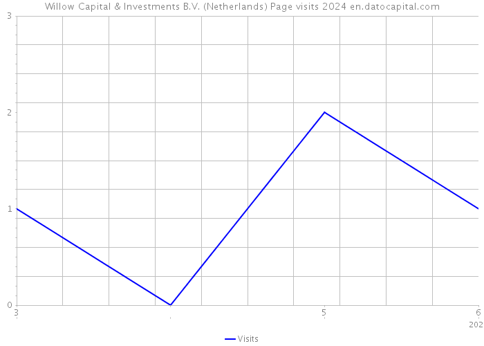 Willow Capital & Investments B.V. (Netherlands) Page visits 2024 