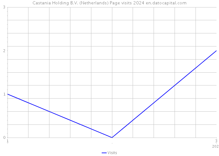 Castania Holding B.V. (Netherlands) Page visits 2024 