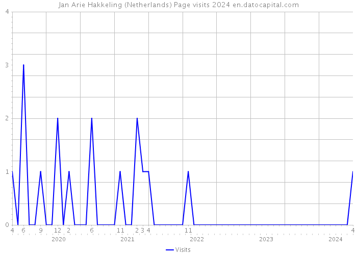 Jan Arie Hakkeling (Netherlands) Page visits 2024 