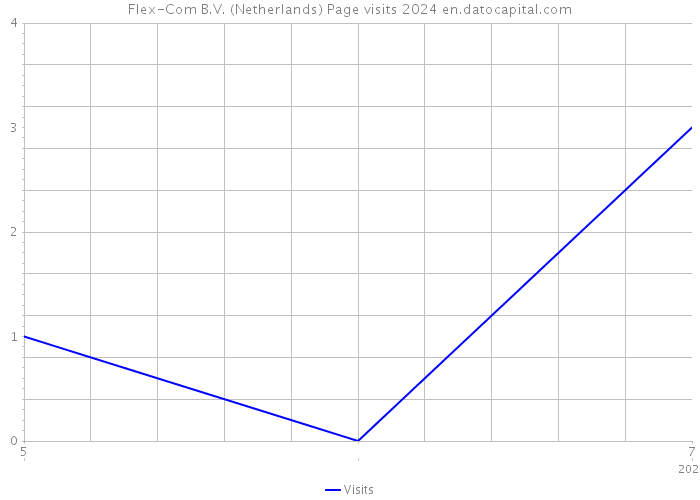 Flex-Com B.V. (Netherlands) Page visits 2024 
