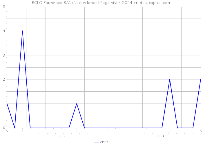 BCLO Flamenco B.V. (Netherlands) Page visits 2024 