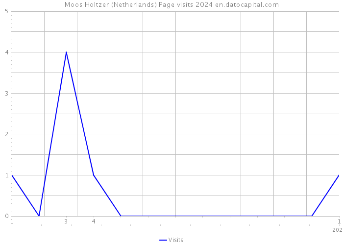 Moos Holtzer (Netherlands) Page visits 2024 