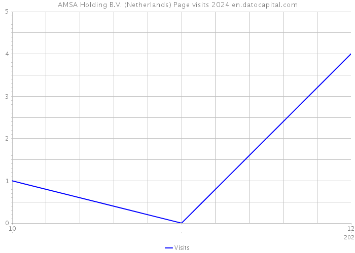 AMSA Holding B.V. (Netherlands) Page visits 2024 