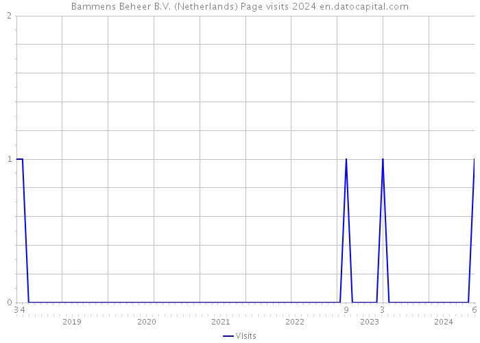 Bammens Beheer B.V. (Netherlands) Page visits 2024 