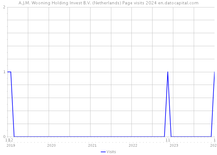 A.J.M. Wooning Holding Invest B.V. (Netherlands) Page visits 2024 