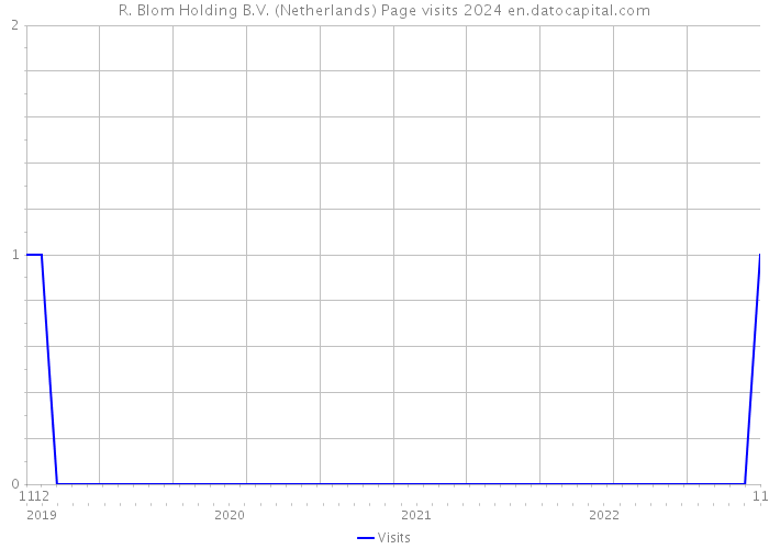 R. Blom Holding B.V. (Netherlands) Page visits 2024 