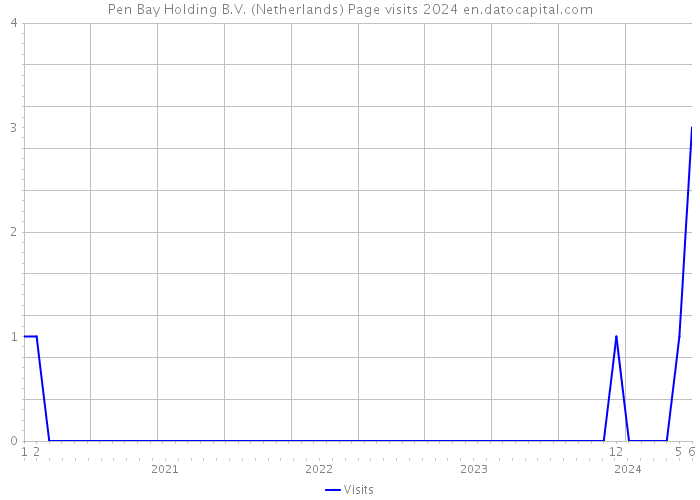 Pen Bay Holding B.V. (Netherlands) Page visits 2024 