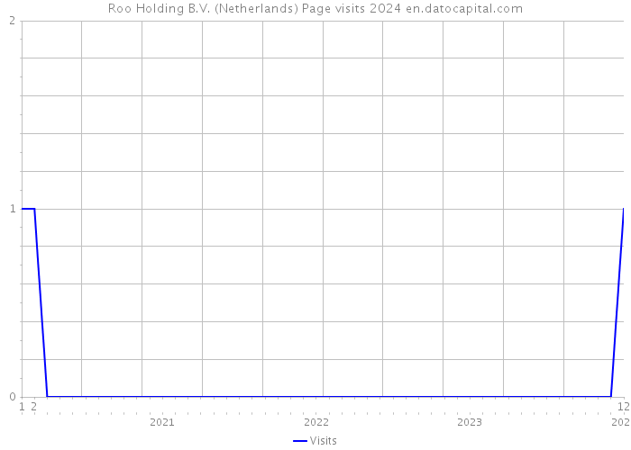 Roo Holding B.V. (Netherlands) Page visits 2024 