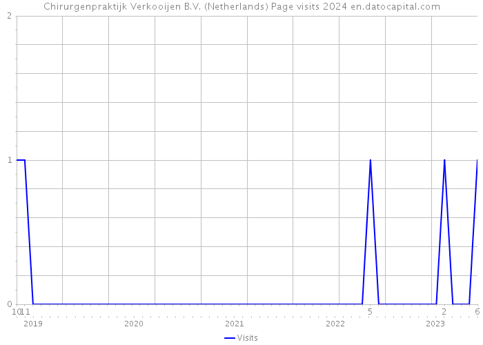 Chirurgenpraktijk Verkooijen B.V. (Netherlands) Page visits 2024 