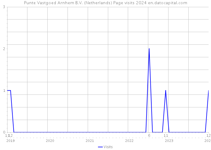 Punte Vastgoed Arnhem B.V. (Netherlands) Page visits 2024 