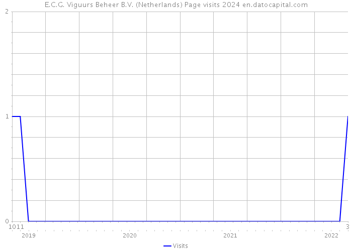 E.C.G. Viguurs Beheer B.V. (Netherlands) Page visits 2024 