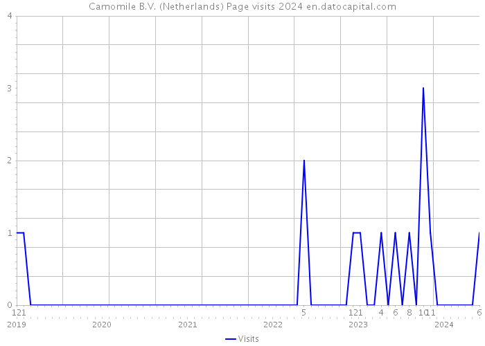 Camomile B.V. (Netherlands) Page visits 2024 