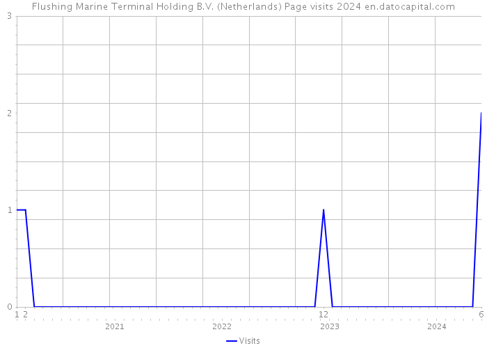 Flushing Marine Terminal Holding B.V. (Netherlands) Page visits 2024 