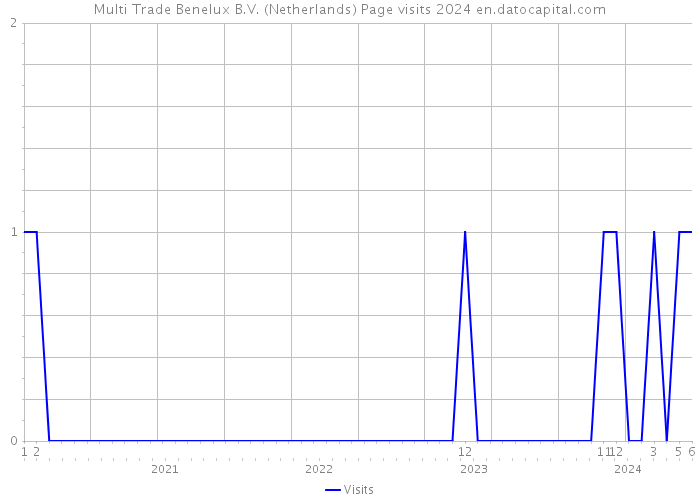 Multi Trade Benelux B.V. (Netherlands) Page visits 2024 
