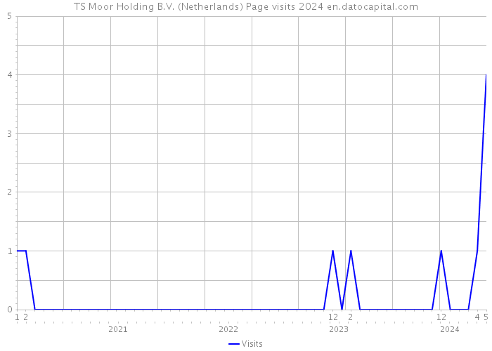TS Moor Holding B.V. (Netherlands) Page visits 2024 