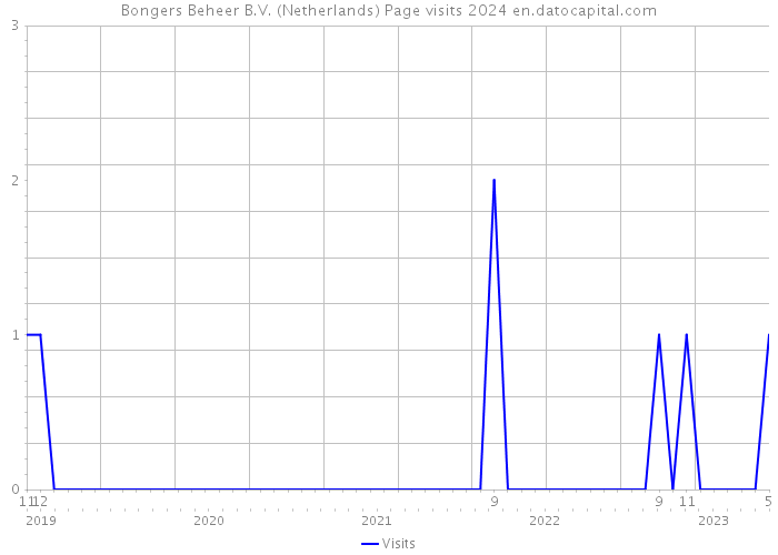 Bongers Beheer B.V. (Netherlands) Page visits 2024 