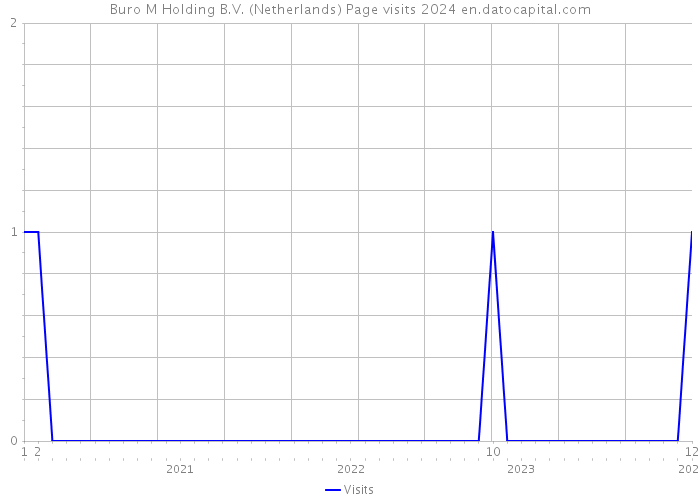 Buro M Holding B.V. (Netherlands) Page visits 2024 