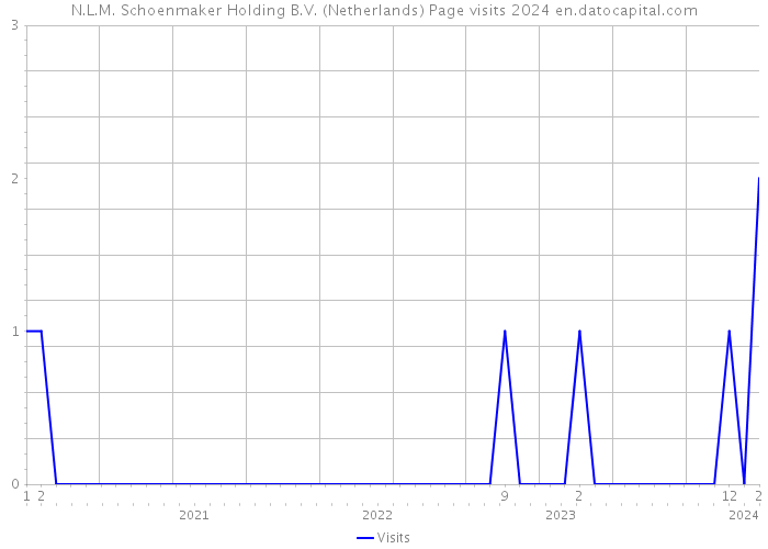 N.L.M. Schoenmaker Holding B.V. (Netherlands) Page visits 2024 