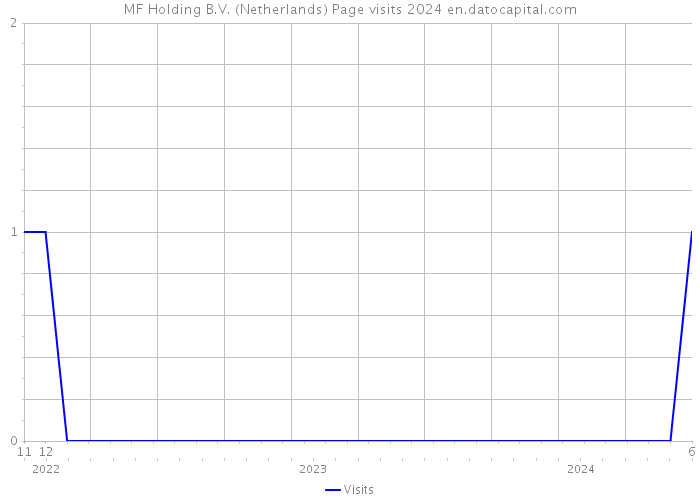 MF Holding B.V. (Netherlands) Page visits 2024 