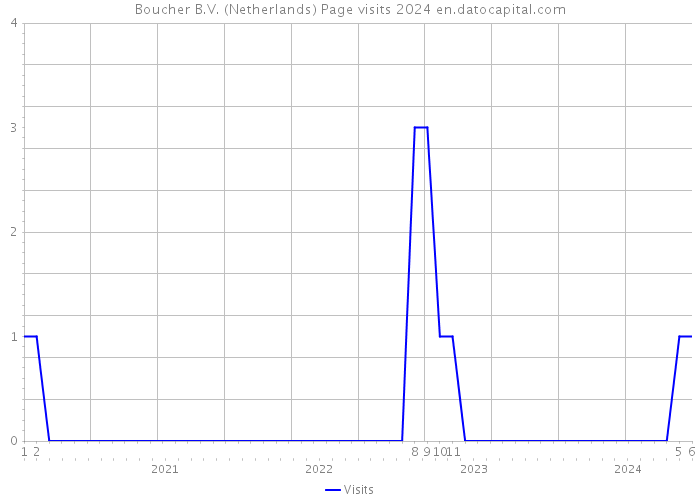 Boucher B.V. (Netherlands) Page visits 2024 