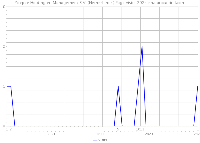 Yoepee Holding en Management B.V. (Netherlands) Page visits 2024 