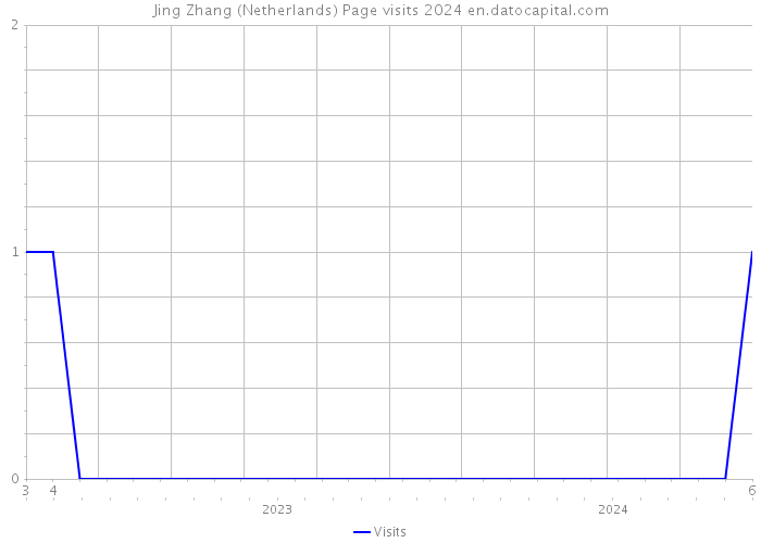 Jing Zhang (Netherlands) Page visits 2024 