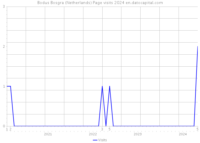 Bodus Bosgra (Netherlands) Page visits 2024 