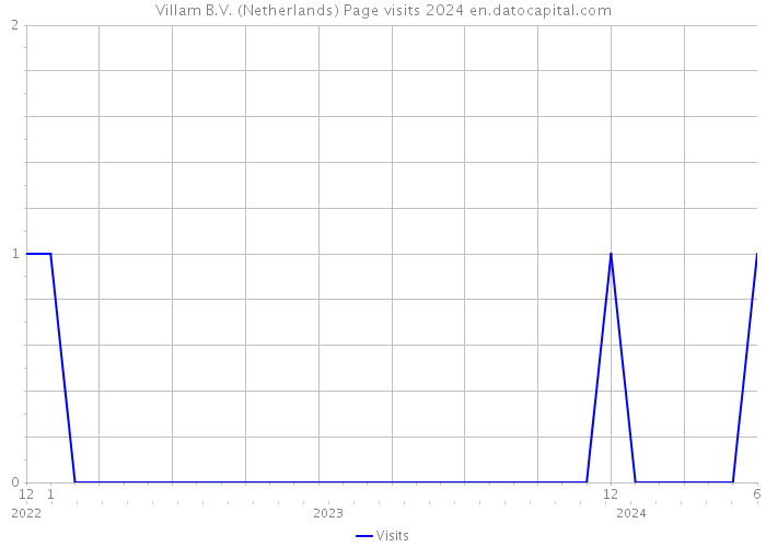 Villam B.V. (Netherlands) Page visits 2024 