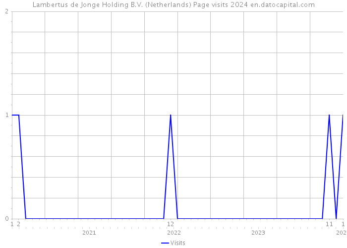 Lambertus de Jonge Holding B.V. (Netherlands) Page visits 2024 