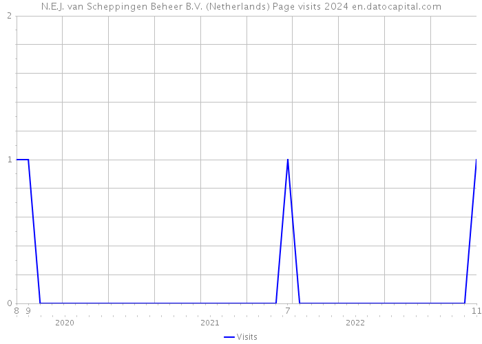 N.E.J. van Scheppingen Beheer B.V. (Netherlands) Page visits 2024 