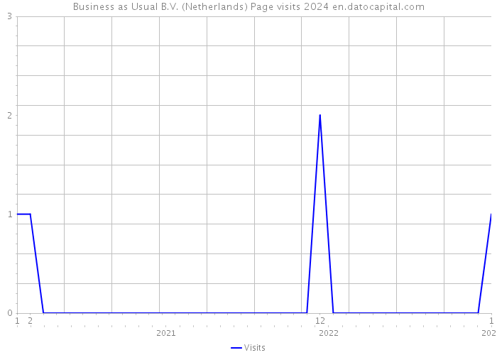 Business as Usual B.V. (Netherlands) Page visits 2024 