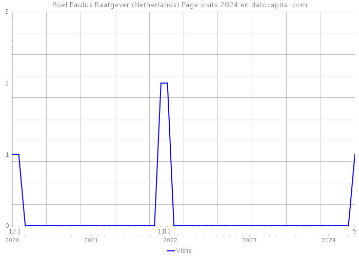 Roel Paulus Raatgever (Netherlands) Page visits 2024 