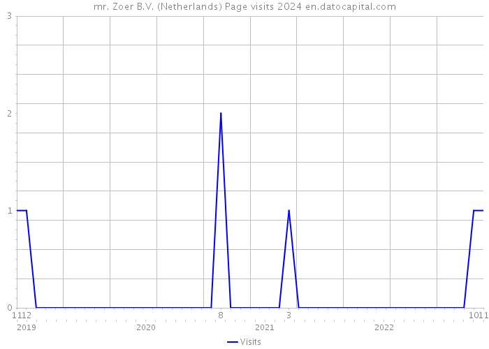 mr. Zoer B.V. (Netherlands) Page visits 2024 