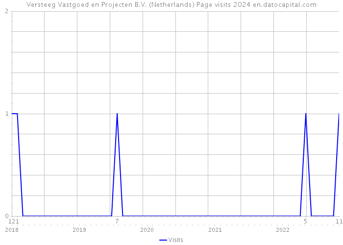 Versteeg Vastgoed en Projecten B.V. (Netherlands) Page visits 2024 