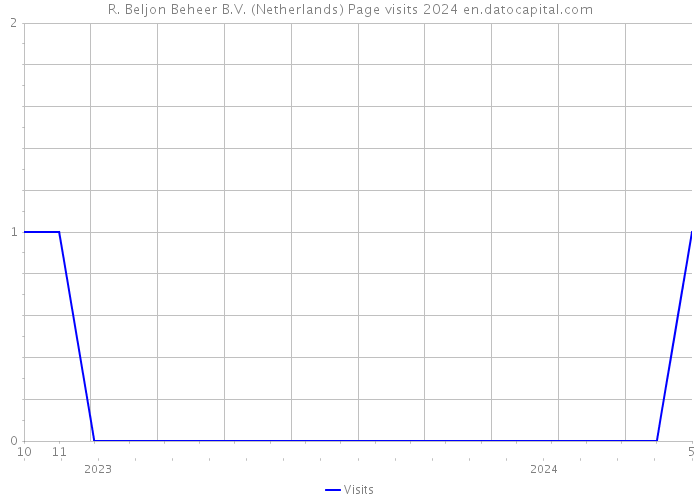 R. Beljon Beheer B.V. (Netherlands) Page visits 2024 