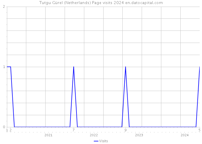 Tutgu Gürel (Netherlands) Page visits 2024 