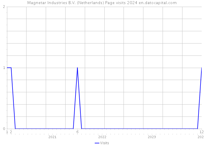 Magnetar Industries B.V. (Netherlands) Page visits 2024 