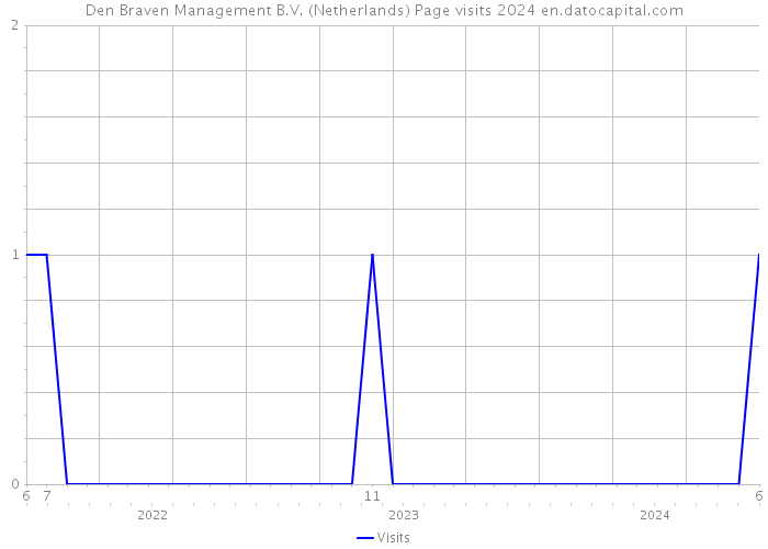 Den Braven Management B.V. (Netherlands) Page visits 2024 