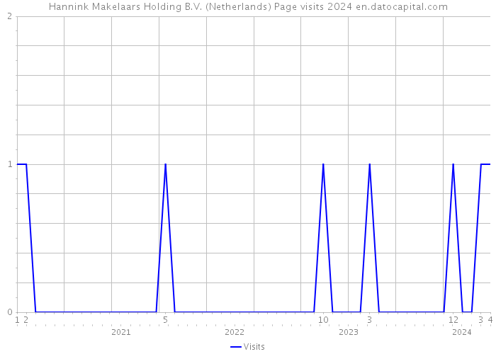 Hannink Makelaars Holding B.V. (Netherlands) Page visits 2024 