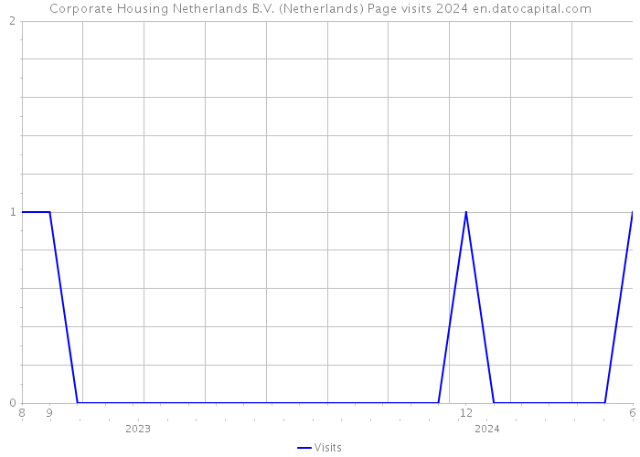Corporate Housing Netherlands B.V. (Netherlands) Page visits 2024 