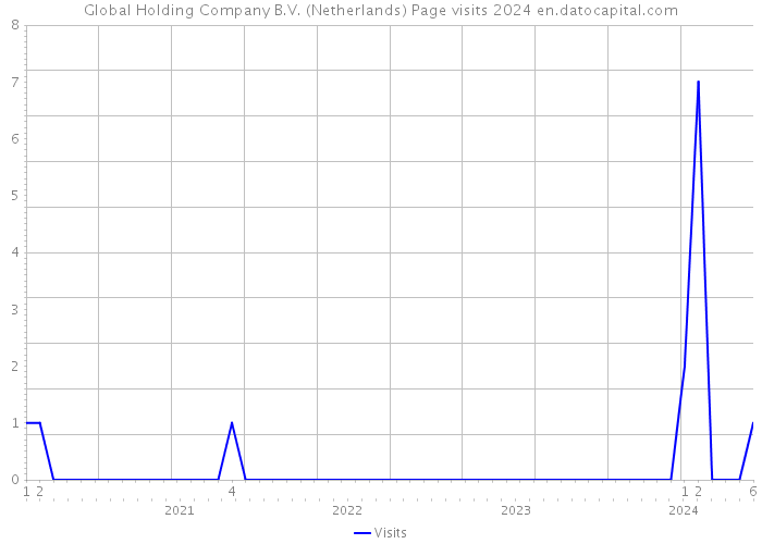 Global Holding Company B.V. (Netherlands) Page visits 2024 