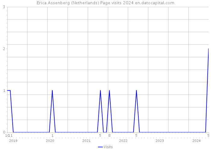 Erica Assenberg (Netherlands) Page visits 2024 