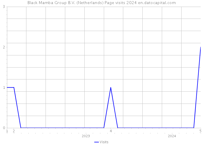 Black Mamba Group B.V. (Netherlands) Page visits 2024 
