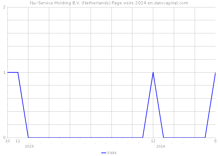 Nu-Service Holding B.V. (Netherlands) Page visits 2024 